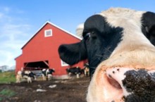 digital barn-raising to build community