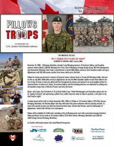 Pillows for Troops
